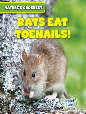 cover image of Rats Eat Toenails!